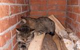 IMG_20250817_150624_494